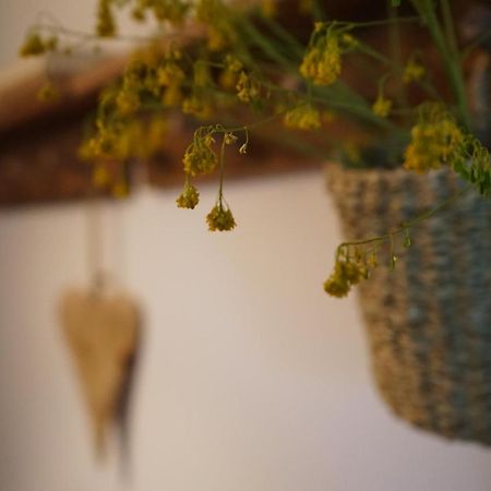 Apartamento Con Jardin En La Cerdanya Err Exterior photo